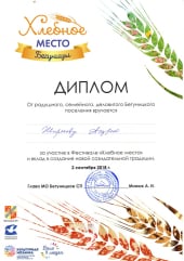 Диплом Бегуницы